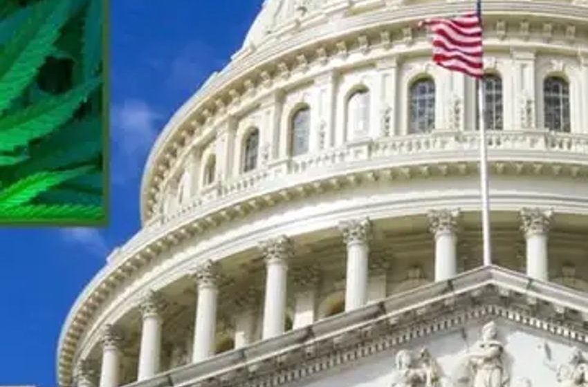  U.S. Senate Committee Approves Bipartisan Marijuana Banking Bill, Sending It To The Floor