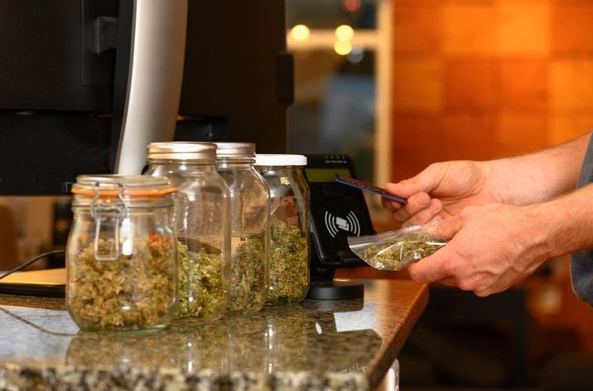 Square Enters Canada’s Cannabis Industry With A Partnership With Jane Technologies