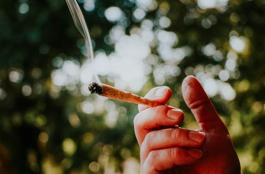 The Science is Clear: Marijuana is Safer Than Tobacco