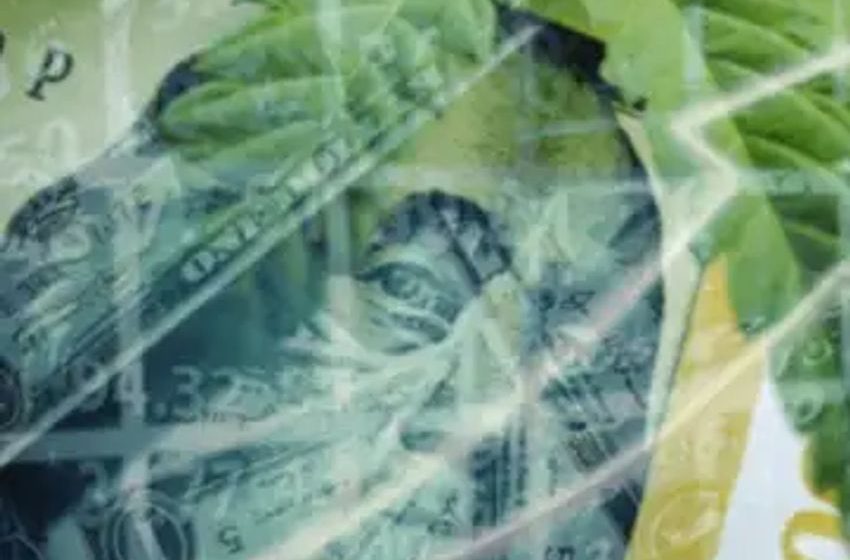  Restructuring 101: Why Cannabis Experts Bet Big On Weekly Business Reports & Power Of Relationships