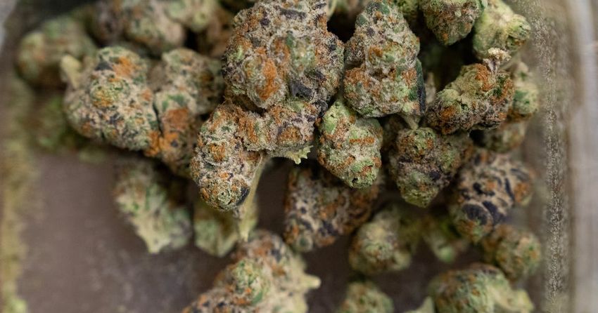  Rules of the road: What Minnesotans can and cannot do with marijuana in their vehicles