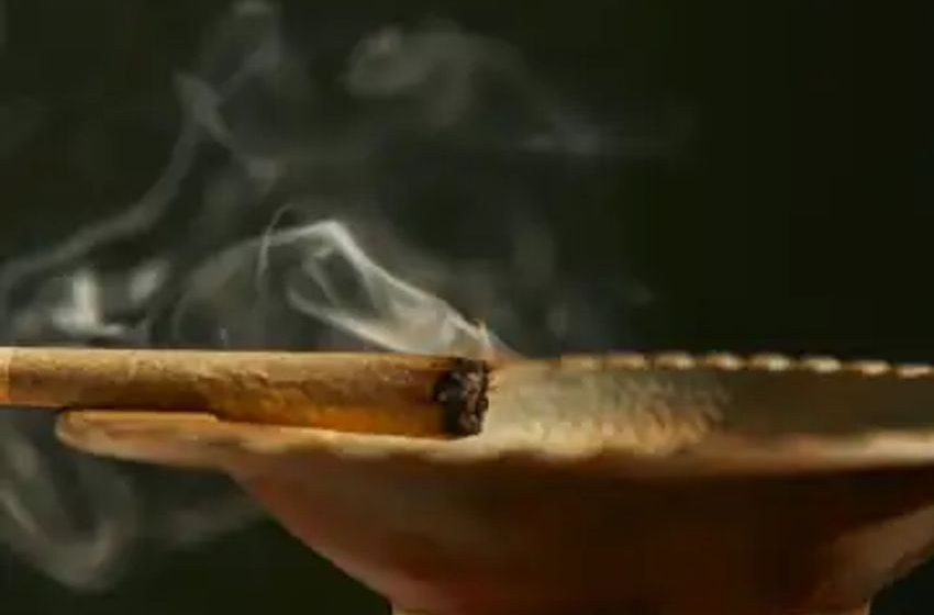 Cannabis Users Are Not Lazy, Data Confirms