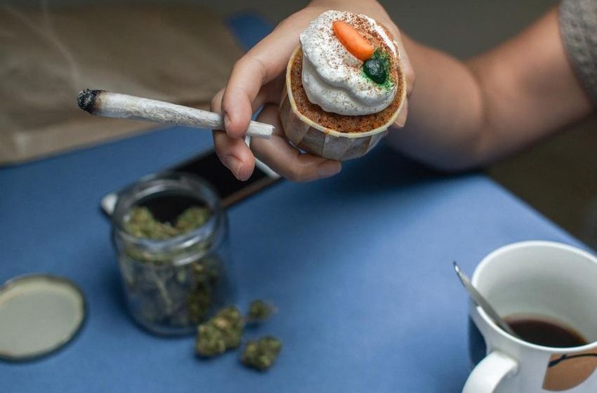  California Set To Launch Amsterdam-Style Cannabis Cafes Starting Next Year