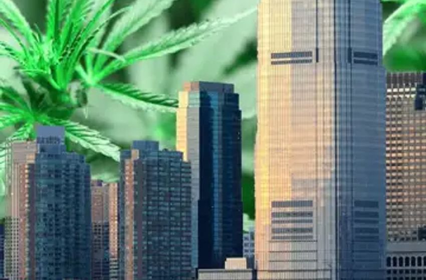 Big Changes Coming To New Jersey’s Cannabis Market And Weed Giants Pay Fines