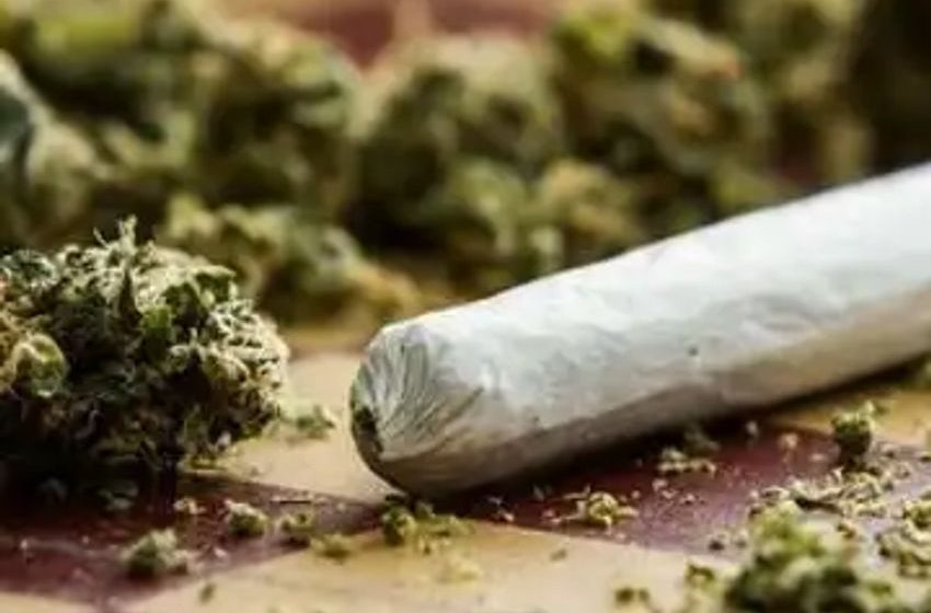  Half Of Americans Live In States Where Weed Is Legal, Health Officials Push To Ease Restrictions