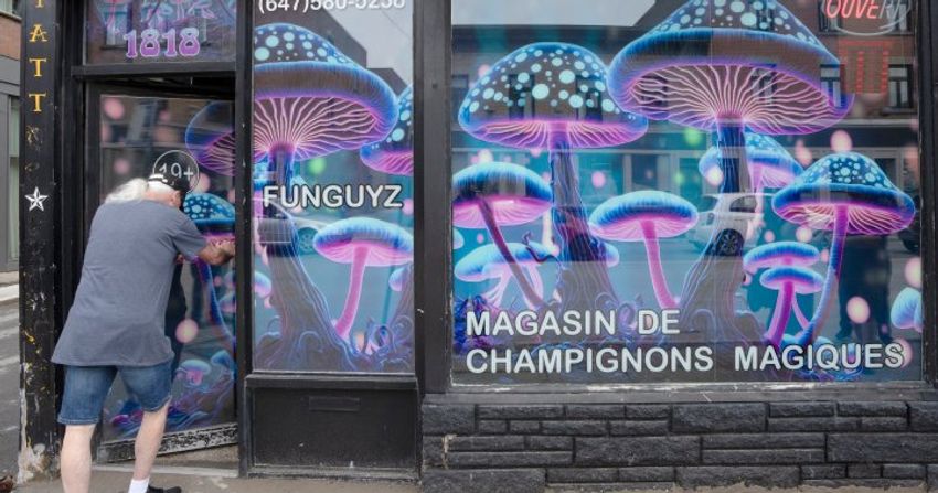  ‘Magic mushrooms’ are still illegal in Canada. How can stores be opening? – National | Globalnews.ca