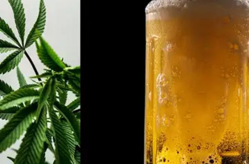  Tilray’s Beer Business Expands Nationally, Starting In This State