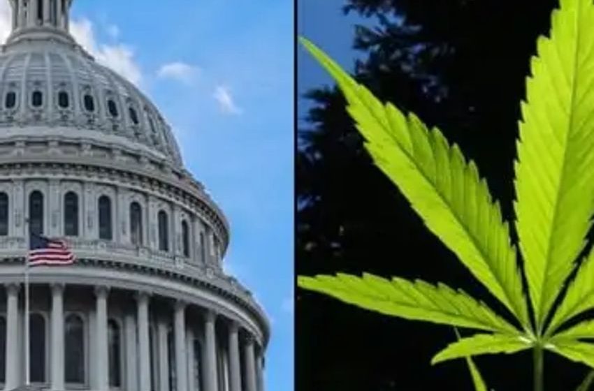  Congressional Committee Will Vote On Removing Marijuana As Barrier To Federal Employment Or Security Clearances