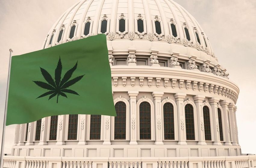 Senate Committee Passes Cannabis Banking Bill