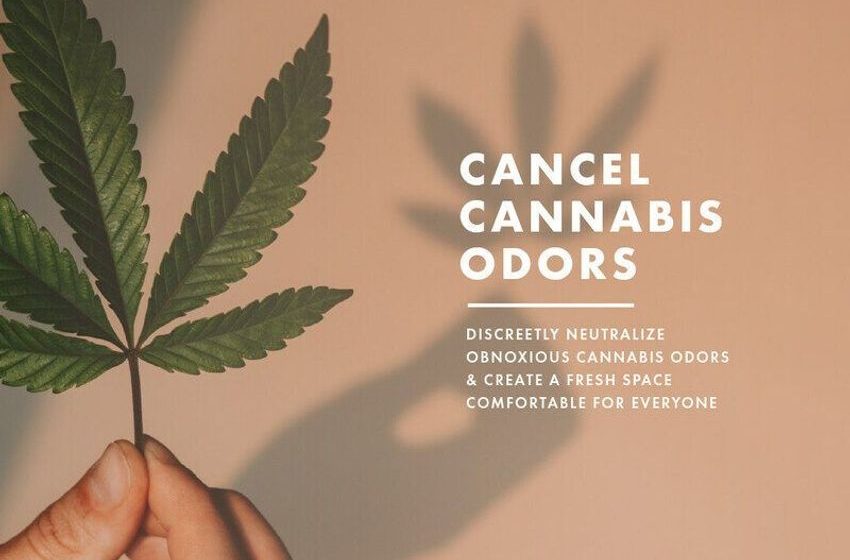  Cannabis Odor Neutralizers – ScentAir’s Cannabis Neutralizer Creates Fresh-Smelling Spaces (TrendHunter.com)