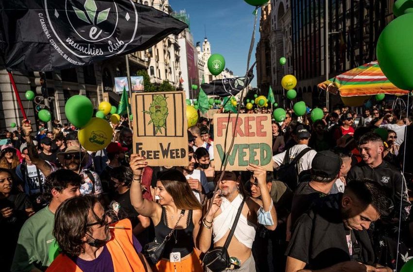  6 charts that explain the cannabis revolution