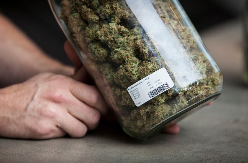  Federal health agency recommends easing marijuana restrictions