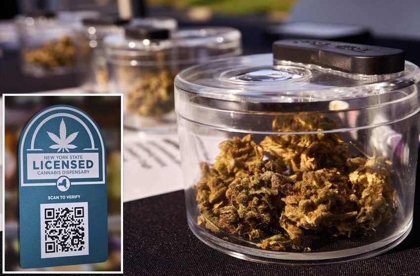 New York cannabis regulators opens pot licenses to disabled vets, women, minorities during legal battle: ‘It’s about time’
