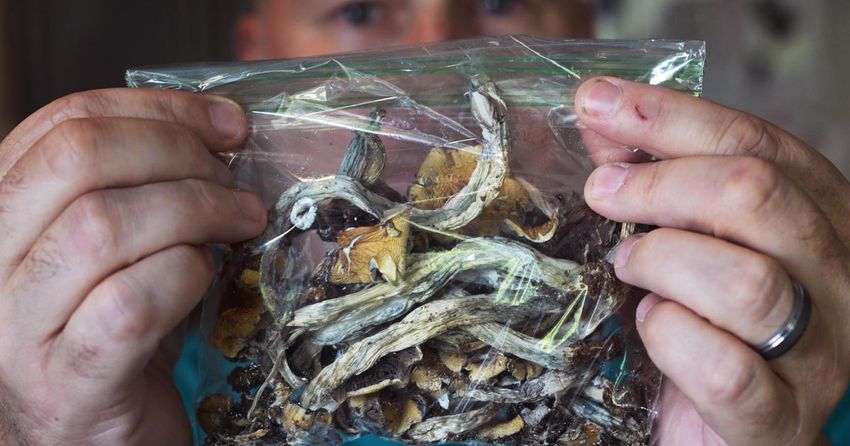  Oregon launches legal psilocybin, known as “magic mushrooms” to the public