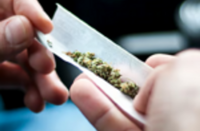  High levels of dangerous metals found in exclusive marijuana users