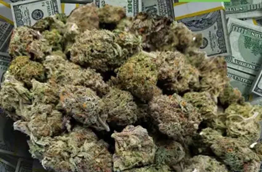  Vancouver Cannabis Co’s $2.3M In Private Placement Deal Paves Way For More International Expansion