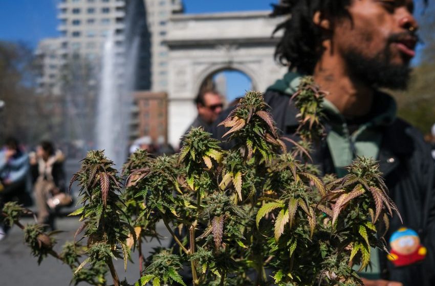 Reefer Madness in the Upper Chamber