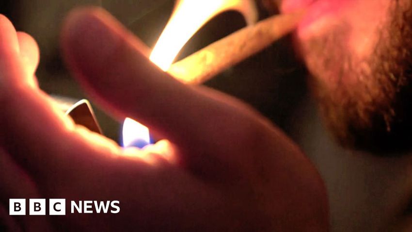  Ukraine war: Cannabis in focus for veterans treatment