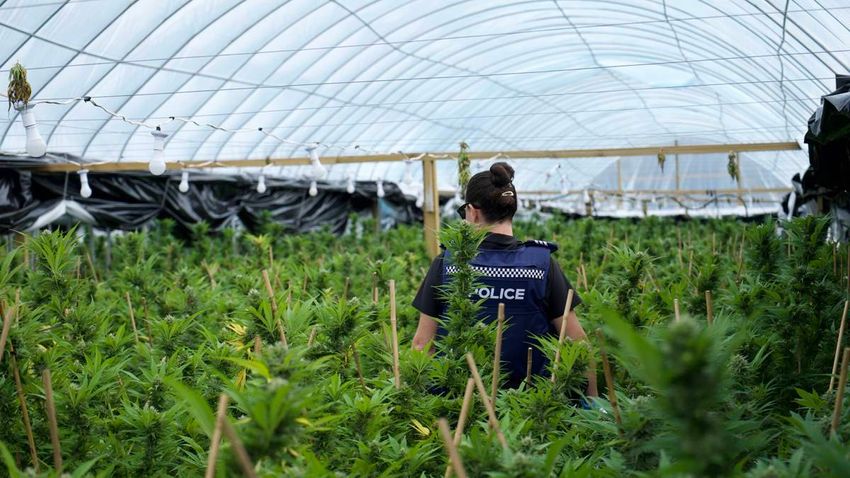 Revealed: Police discretion, drug use prosecutions, and which way the punitive pendulum is swinging