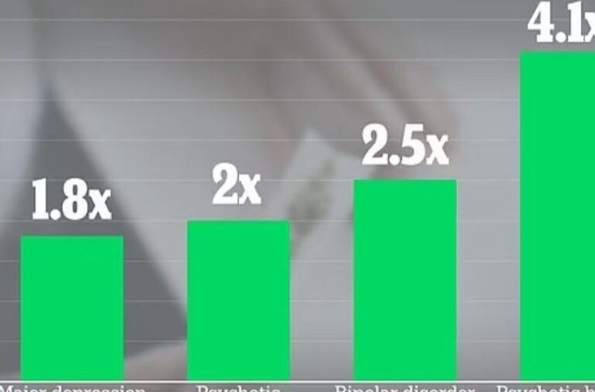  New Study: Marijuana Use Presents Four Times Higher Risk of Serious Mental Health Consequences | Joe Herring | NewsBreak Original