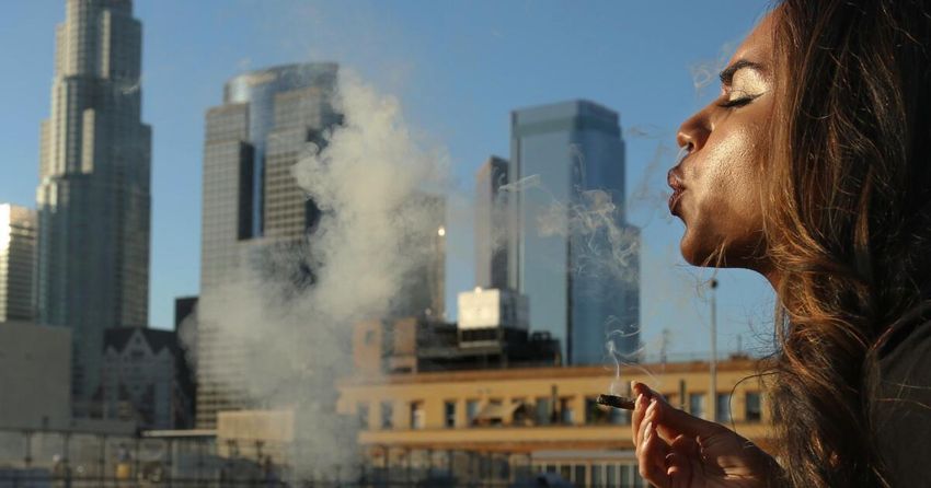  After starting UCLA’s cannabis club, she unexpectedly became a weed whisperer for Gen Z