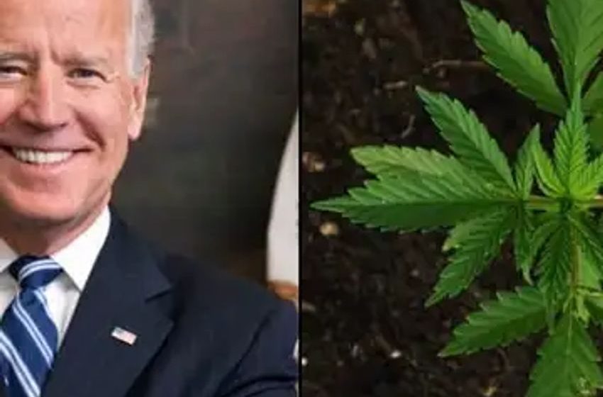  White House Promotes Biden’s Marijuana Moves As Part Of ‘Fight For Our Freedom’ Campaign To ‘Mobilize Young People’