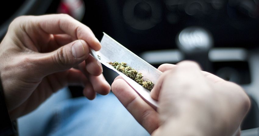  High levels of dangerous metals found in exclusive marijuana users