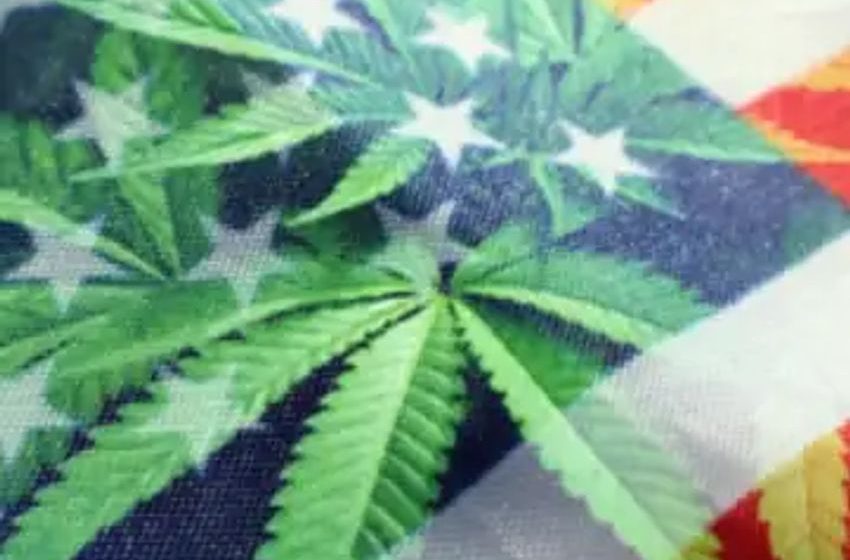  Taxation Without Representation: Are Cannabis Operators Unfairly Targeted By The IRS?
