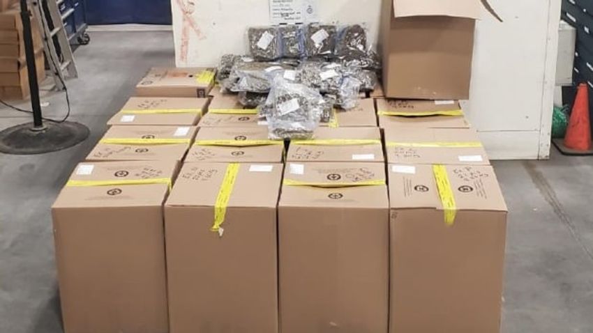 345 bags of suspected cannabis seized at Halifax port, CBSA says