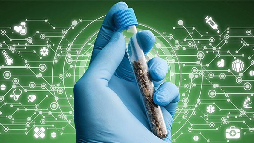  Report: Leaked HHS Letter Calls Upon DEA to Reschedule Cannabis