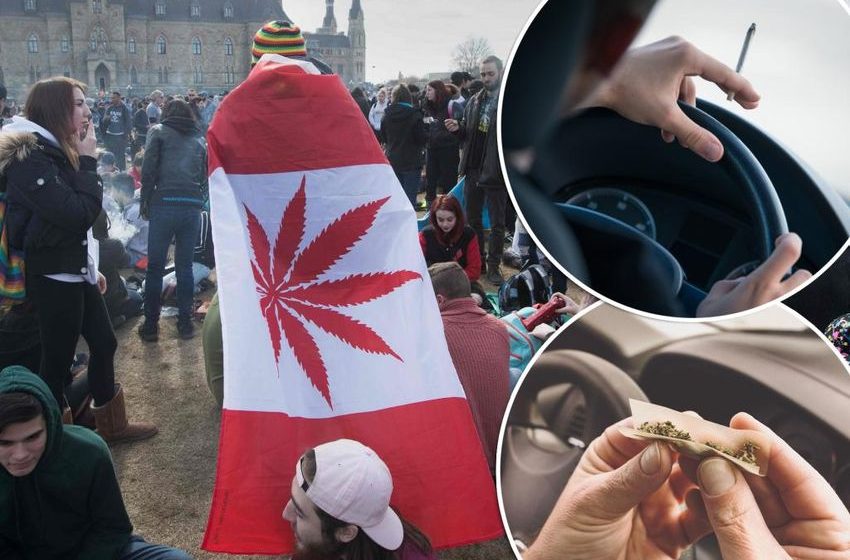  Woah Canada! Traffic injuries up nearly 500% after pot legalization
