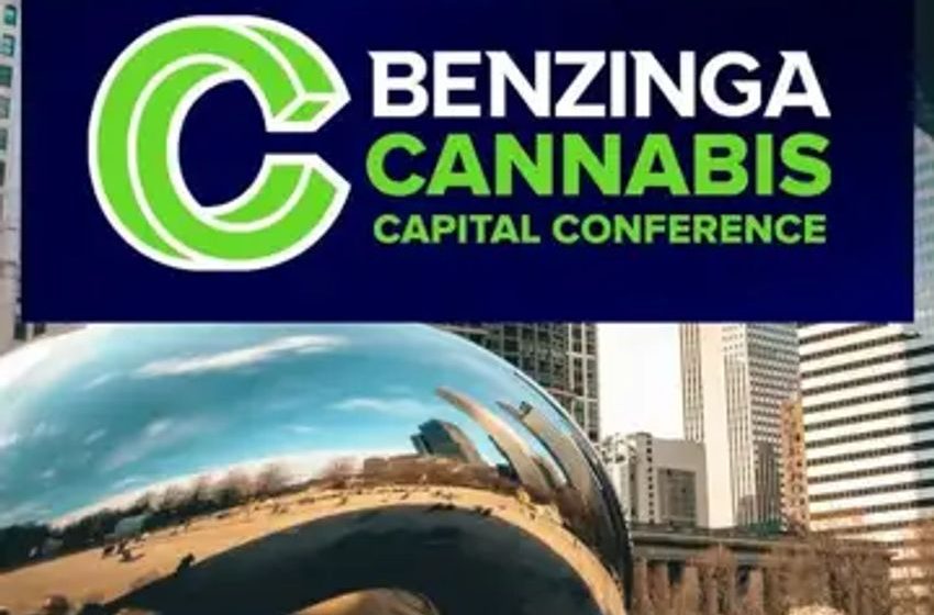  Unlocking Potential Of Ancillary Companies In Cannabis Industry