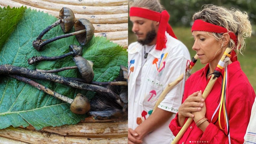  This Senator Wants to Legalize Magic Mushrooms in Mexico