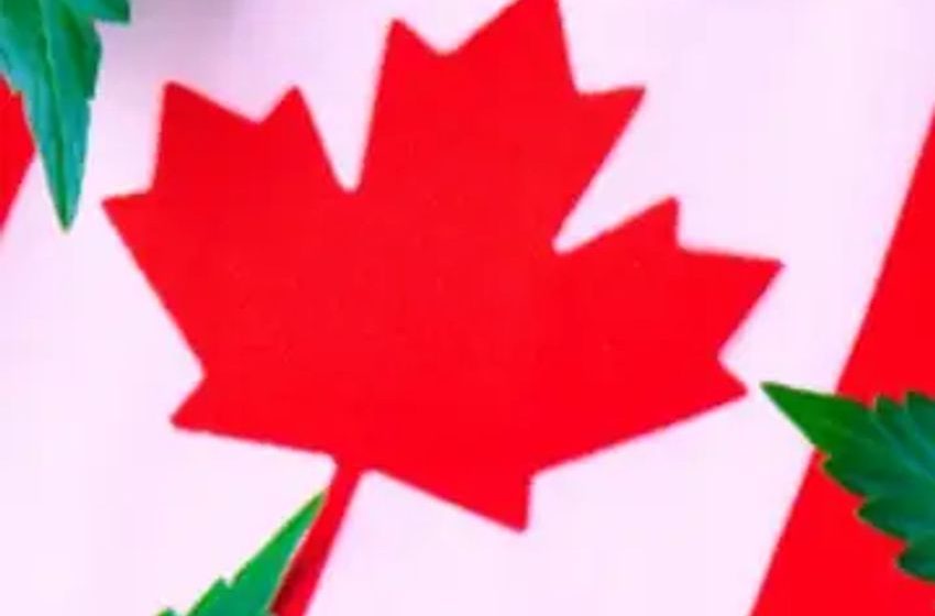  Canada’s Cannabis Journey: Mixed Results Five Years After Full Legalization & More