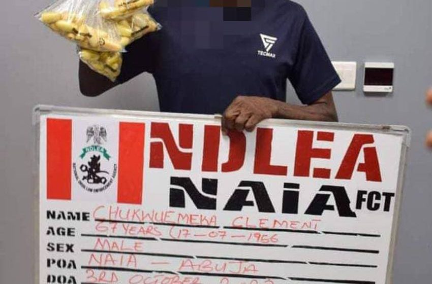  NDLEA arrests 67-year-old,  destroyed over 11 tonnes of cannabis in Ogun, Edo forests