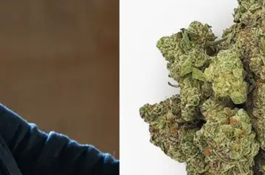 ‘Corporate Behemoths’ Are Behind Lawsuits Hindering New York’s Cannabis Rollout, Says State Senator
