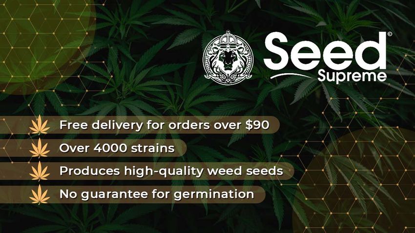  Buy High-Yield Marijuana Seeds for Sale With US Shipping