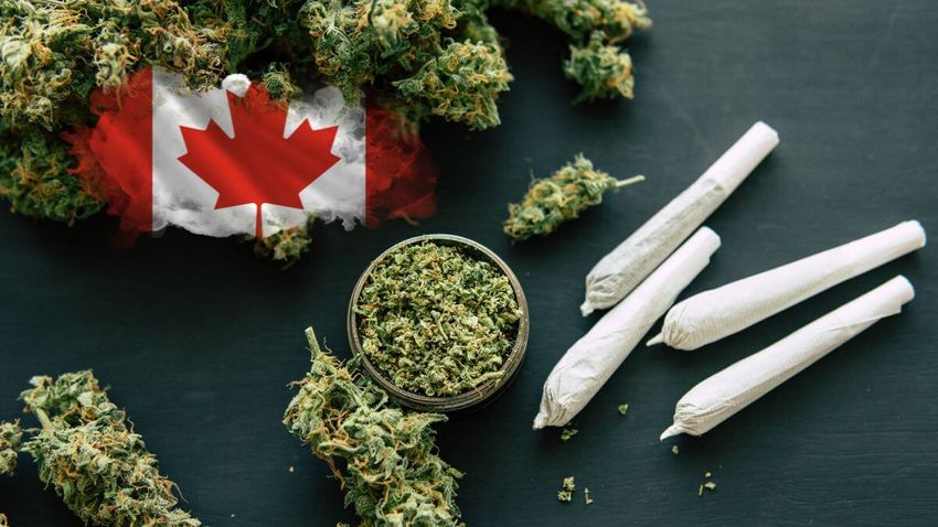  Canada: Increased health problems after 5 years of cannabis legalisation