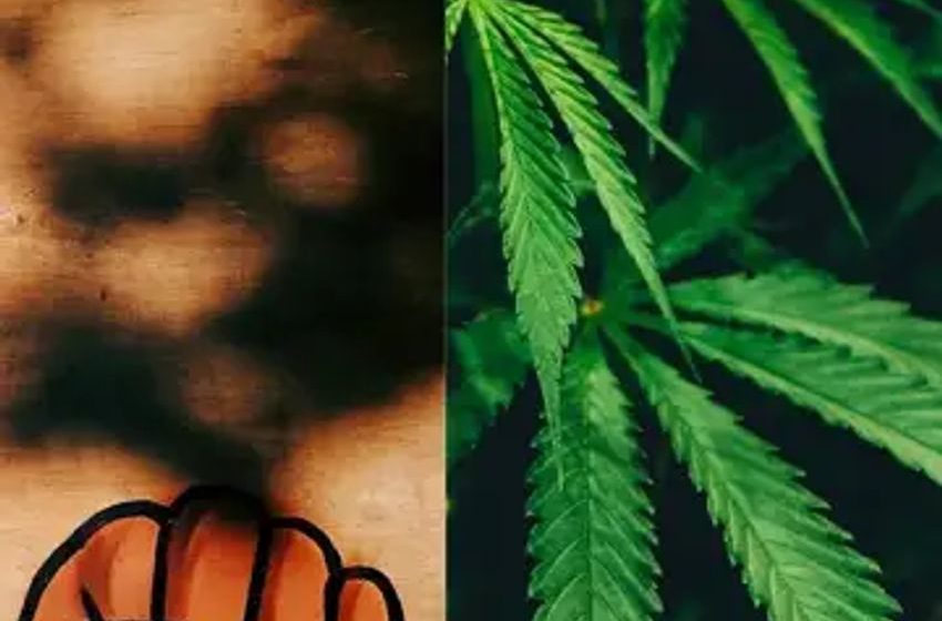  Craigslist Alert: Cannabis Licensing Hopefuls Targeted By Scams, NAACP & Lawmakers Want Probe
