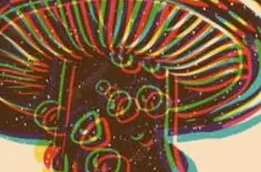Insider’s Look At Psychedelics Industry On Risk Management, Gray Market & Cannabis Industry