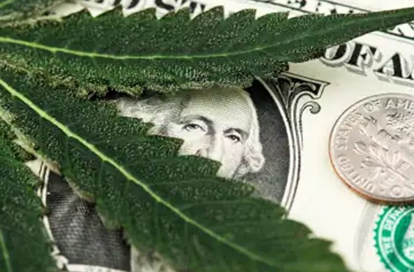  3 Explosive Cannabis Stocks That Will Make Early Investors Rich