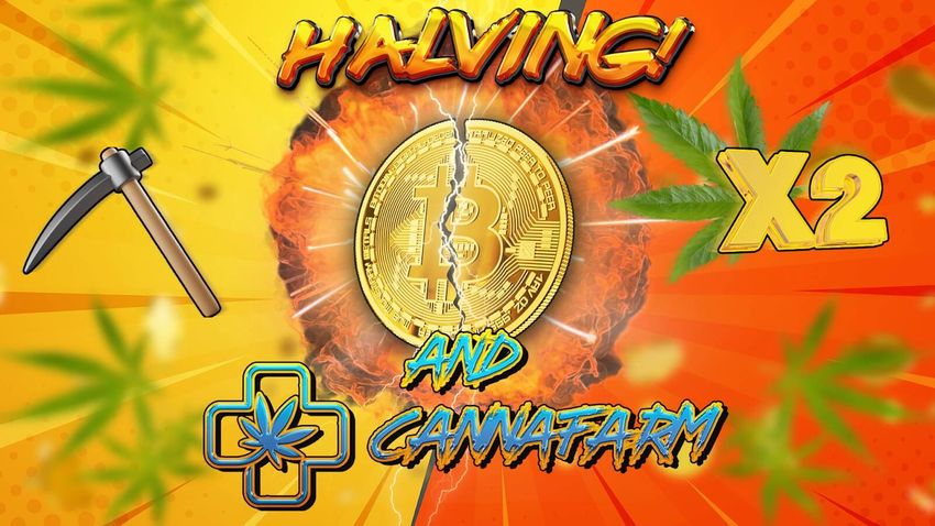 Halving 2024: Market Boom and Unique Opportunity to Double Your Portfolio with Cannafarm Ltd