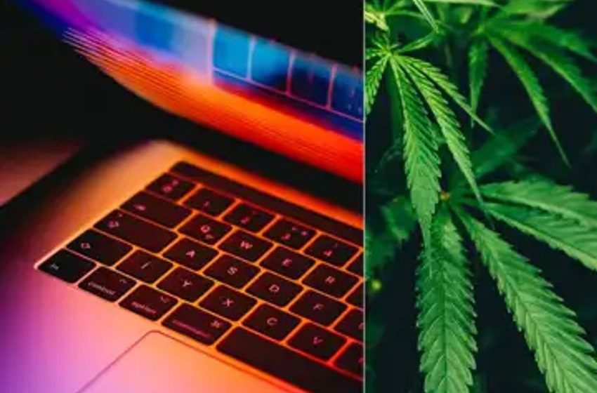  Stay On Top Of Changing Cannabis Regulations With Simplifya’s New Service