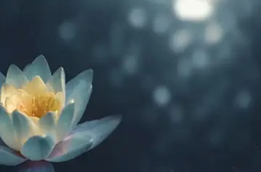  Yoga And Cannabis: A Mindful Connection, New Study Reveals