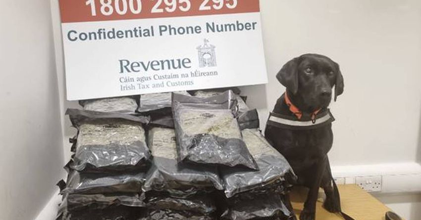  Woman (20s) arrested after cannabis valued at €500,000 seized at Dublin Airport