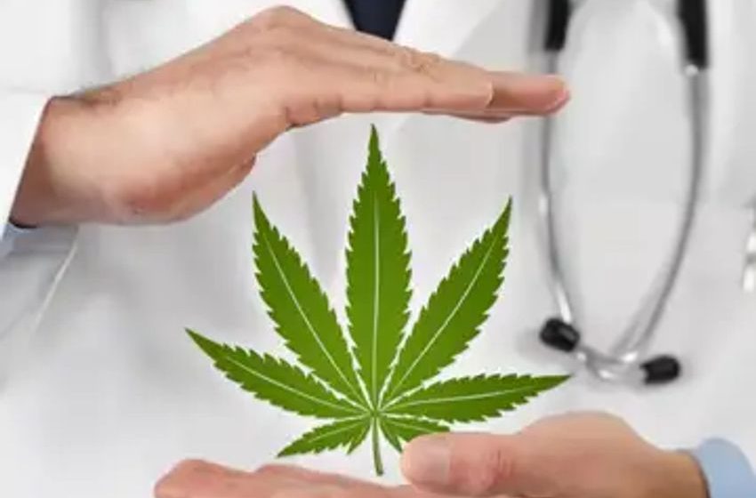 Virtual Medical Marijuana Clinic Launches In Canada Offering Online Access To Experts