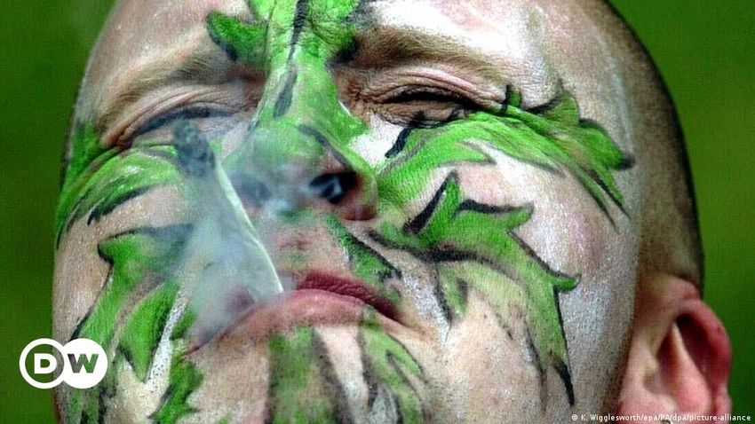  Cannabis: mixed health results after legalization in Canada