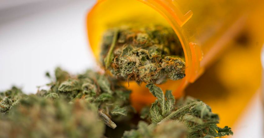  Citizens’ Assembly votes to end current approach to possession of drugs for personal use