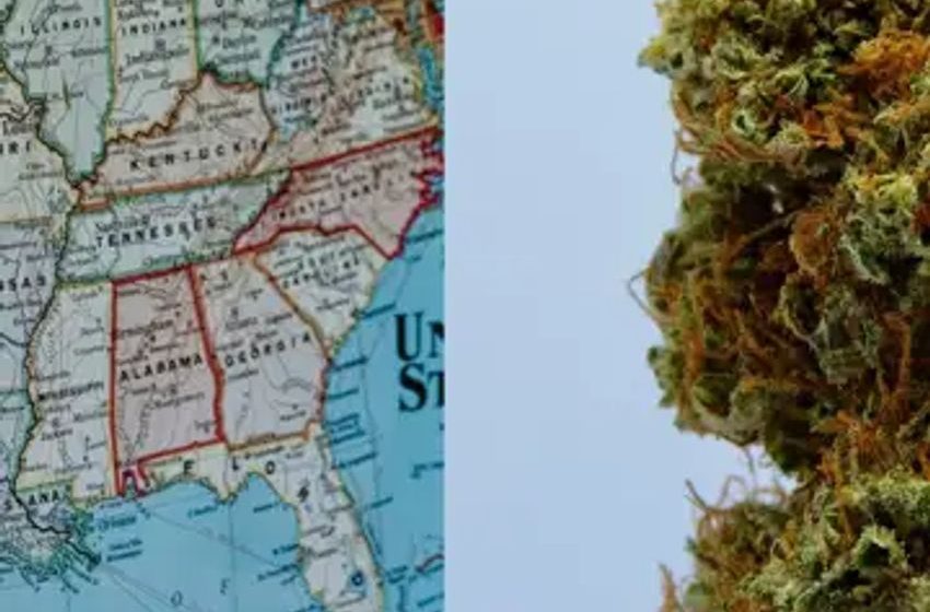  Last Prisoner Project Rates US States By Cannabis Justice As 3K Are Still Incarcerated One Year After Biden’s Pardons