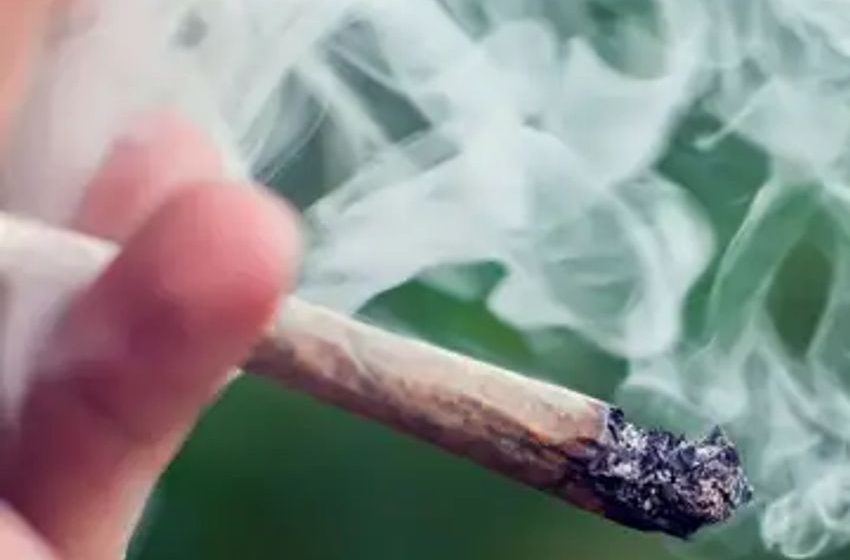  Debunking The ‘Lazy Stoner’ Myth: Scientist Reveals Cannabis’s Unexpected Effect On Motivation